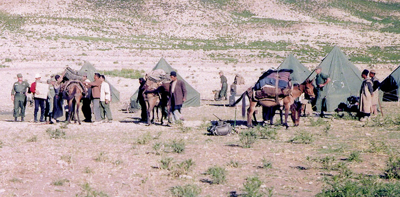 Mules from the Base Camp would be used to carry the recovered remains of MAJ Carder and CPT Knotts.