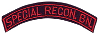 2671st Special Reconnaissance Battalion, Separate (Provisional) shoulder scroll