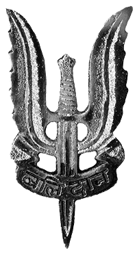 PARA (SF) Battalion Insignia