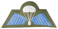 Indian Army Parachutist Badge