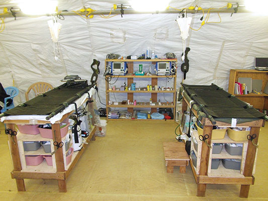 Inside the SORT medical tent, SSG Vaughn*, SORT team sergeant, built two trauma beds and shelving.