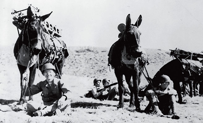 “A mule could go with that load anywhere that you could go without getting on your knees.” — R.V. Woods (B/613)