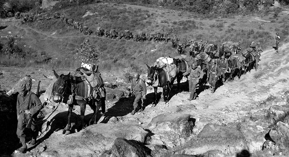 “As we were going up hills, we would hold the tails of the mules ahead of us and get pulled up. The sergeants would always come by and say ‘let go of those tails.’ ‘Yes, Sergeant.’ We’d let go, and as soon as he was by, we’d pick them up again.”