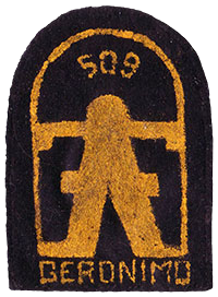 Patch: 509th Parachute Infantry Battalion