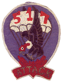 Patch: 17th Parachute Infantry Regiment