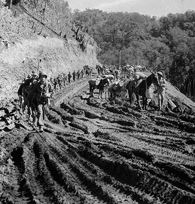 The first part of the 5307th’s march followed the newly constructed Ledo Road. While the graded surface helped for a while, the soldiers still had to contend with steep slopes and mud. Soon enough, the soldiers decided that any resting place was a good resting place, even a drainage ditch on the side of a mountain. The attached quartermaster companies packed equipment, rations, and ammunition on sturdy Missouri mules, which could follow almost anywhere a man could walk or crawl, and did not mind a rest stop, either.