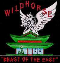 E Company, 160th SOAR, logo