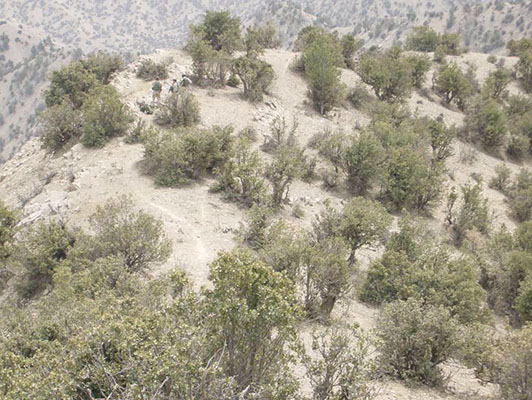 Aerial view of the front crest of butte overlooking the southerly finger where Technical Sergeant Bradley Reilly and Master Sergeant Paul Cooper engaged the enemy moving down to the south. Note the scrub vegetation that afforded the enemy some cover while moving off the butte to the south.