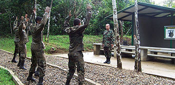 Soldiers conduct calisthenics