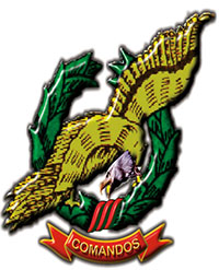 Colombian SF Brigade insignia