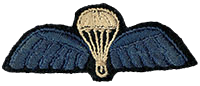 Major Herbert Brucker’s British Special Forces (SF) parachute badge.