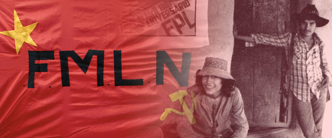 FMLN Organization