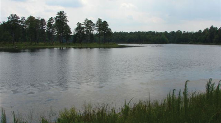 Lake Kinney Cameron near where the eight 551st PIB paratroopers drowned on 16 February 1944.