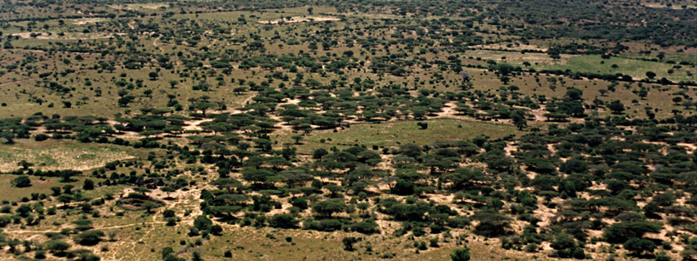Somalia terrain west of Oddur.