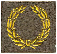 U.S. Army Meritorious Unit Insignia