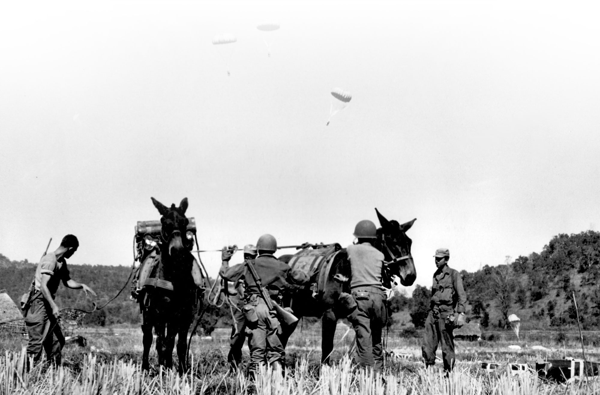 The LRPGs in Burma relied on aerial resupply and pack mules.