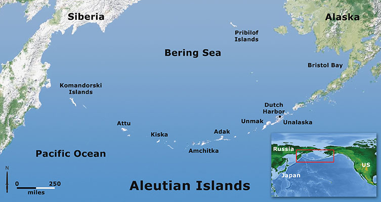 The Aleutian Islands are formed from the partially submerged mountains of Alaska’s Aleutian Range. Stretching for over 1100 miles in an arc south and west of the Alaska Peninsula, more than 160 named islands of the archipelago separate the Pacific Ocean from the Bering Sea.