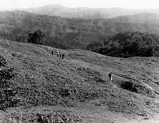 This hilly north Burma terrain is typical of the area in which 1LT Daniel Mudrinich was operating in the months prior to the siege of Myitkyina.