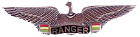 The Condor Wings, the distinctive qualification badge of the Bolivian Ranger Battalion.