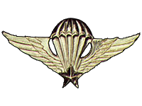 Vietnamese Army Basic Parachutist Badge