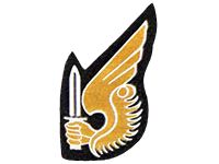 Vietnamese Airborne Jump Status Designator Insignia