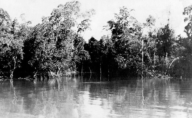 A typical mangrove-covered chaung in which the MU carried out nighttime operations.