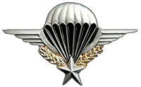 French Parachute Badge