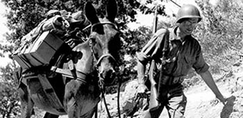 QM troop, pack – brought supplies forward with mules and horses.