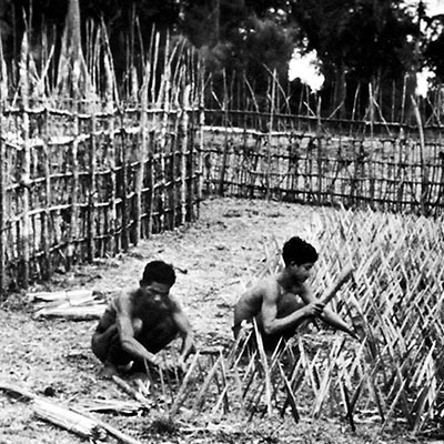 A fence reinforced by pungi stakes around Buon Enao was the village’s first line of defense.