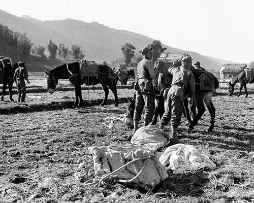 After the USAAF dropped supplies to the MARS Task Force, the soldiers then had to repack the material onto the mules. Special harnesses helped distribute the loads on the mule’s back to prevent injury and fatigue.