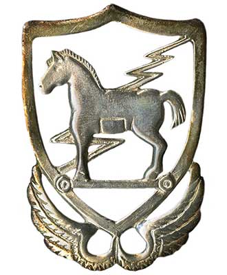 10th Special Forces Group Trojan Horse Badge
