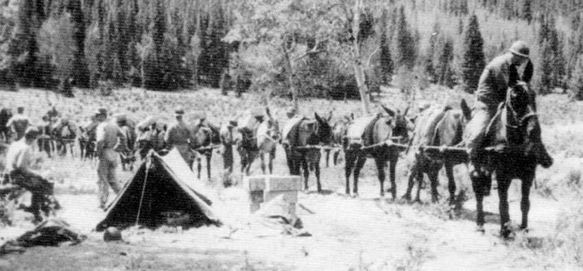 The Rangers trained on the techniques of packing and moving supplies on mules.