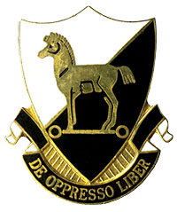 10th Special Forces Group unofficial DUI