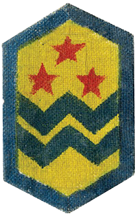 Vice Battalion Commander