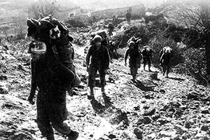 Men of Second Regiment carrying supplies in support of the First Regiment’s assault on Monte La Defensa. The steep rugged terrain dictated that everything be man-packed or hauled on mules. Casualties from artillery and snipers were high among the supporters. In the lead is Private Harlan S. Morgan, a medic in 3-2.