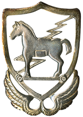 10th Special Forces Trojan Badge