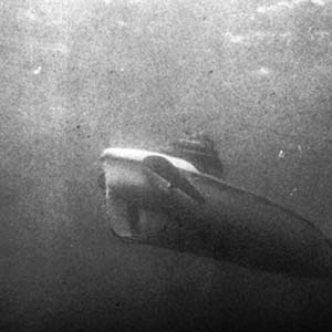 Sleeping Beauty approaching landing on USS Quillback, 1948