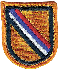 39th Special Forces Detachment flash