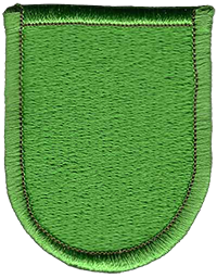 10th Special Forces Group flash