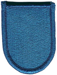 19th Special Forces Group flash