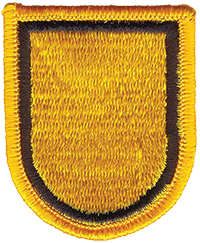 1st Special Forces Group flash