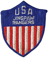 Unofficial Detachment 101 patch worn by U.S. personnel.