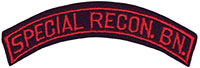 2671st Special Reconnaissance Battalion, Separate (Provisional) Tab